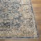 Livabliss Aspendos APS-2314 Machine Crafted Area Rug APS2314-274 - alternate 6
